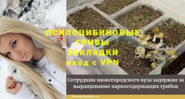 крисы Алексеевка