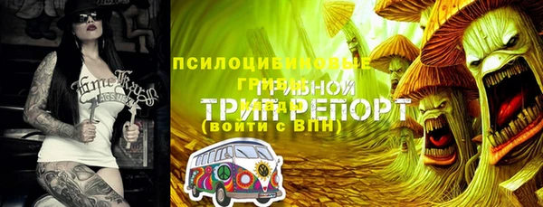 крисы Алексеевка