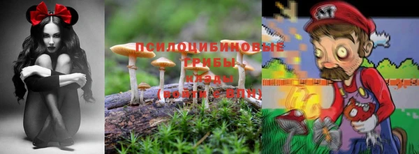 крисы Алексеевка